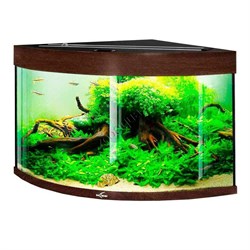 Купить Аквариум Biodesign Диарама 150, силикатное стекло Pilkington Optifloat™, 5-6 мм, 130 л, 63x63x52 см, шторка для автокормушки, золотой орех