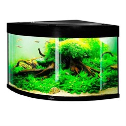 Купить Аквариум Biodesign Диарама 150, силикатное стекло Pilkington Optifloat™, 5-6 мм, 130 л, 63x63x52 см, шторка для автокормушки, черный