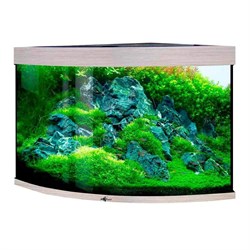Купить Аквариум Biodesign Диарама 200, силикатное стекло Pilkington Optifloat™, 6-8 мм, 185 л, 71x71x65 см, шторка для автокормушки, белёный дуб