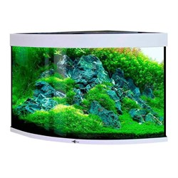 Купить Аквариум Biodesign Диарама 200, силикатное стекло Pilkington Optifloat™, 6-8 мм, 185 л, 71x71x65 см, шторка для автокормушки, белый