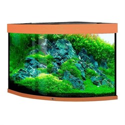 Купить Аквариум Biodesign Диарама 200, силикатное стекло Pilkington Optifloat™, 6-8 мм, 185 л, 71x71x65 см, шторка для автокормушки, бук