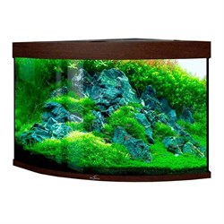 Купить Аквариум Biodesign Диарама 200, силикатное стекло Pilkington Optifloat™, 6-8 мм, 185 л, 71x71x65 см, шторка для автокормушки, золотой орех