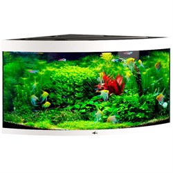 Купить Аквариум Biodesign Диарама 400, силикатное стекло Pilkington Optifloat™, 6-10 мм, 350 л, 91x91x68 см, шторка для автокормушки, белый