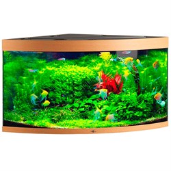 Купить Аквариум Biodesign Диарама 400, силикатное стекло Pilkington Optifloat™, 6-10 мм, 350 л, 91x91x68 см, шторка для автокормушки, бук