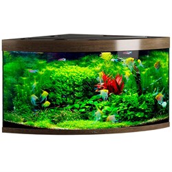 Купить Аквариум Biodesign Диарама 400, силикатное стекло Pilkington Optifloat™, 6-10 мм, 350 л, 91x91x68 см, шторка для автокормушки, золотой орех