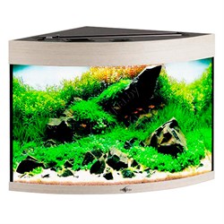 Купить Аквариум Biodesign Диарама 90, силикатное стекло Pilkington Optifloat™, 5 мм, 90 л, 53x53x52 см, шторка для автокормушки, беленый дуб