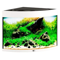 Купить Аквариум Biodesign Диарама 90, силикатное стекло Pilkington Optifloat™, 5 мм, 90 л, 53x53x52 см, шторка для автокормушки, белый