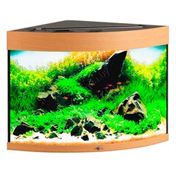 Купить Аквариум Biodesign Диарама 90, силикатное стекло Pilkington Optifloat™, 5 мм, 90 л, 53x53x52 см, шторка для автокормушки, бук