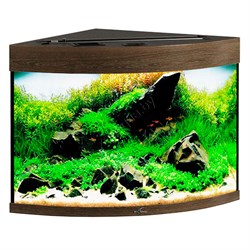 Купить Аквариум Biodesign Диарама 90, силикатное стекло Pilkington Optifloat™, 5 мм, 90 л, 53x53x52 см, шторка для автокормушки, золотой орех