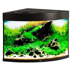 Купить Аквариум Biodesign Диарама 90, силикатное стекло Pilkington Optifloat™, 5 мм, 90 л, 53x53x52 см, шторка для автокормушки, черный