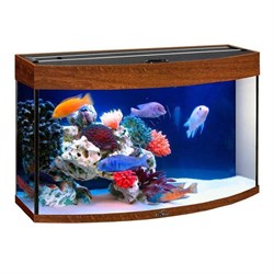 Купить Аквариум Biodesign Панорама 100, силикатное стекло Pilkington Optifloat™, 5-6 мм, 98 л, 71x36x52 см, шторка для автокормушки, золотой орех