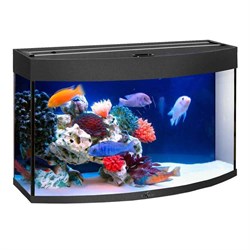 Купить Аквариум Biodesign Панорама 100, силикатное стекло Pilkington Optifloat™, 5-6 мм, 98 л, 71x36x52 см, шторка для автокормушки, черный