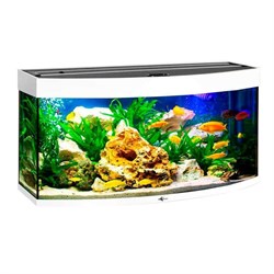 Купить Аквариум Biodesign Панорама 120, силикатное стекло Pilkington Optifloat™, 5-6 мм, 117 л, 81x38x52 см, шторка для автокормушки, белый