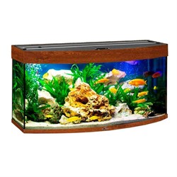 Купить Аквариум Biodesign Панорама 120, силикатное стекло Pilkington Optifloat™, 5-6 мм, 117 л, 81x38x52 см, шторка для автокормушки, золотой орех