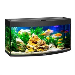 Купить Аквариум Biodesign Панорама 120, силикатное стекло Pilkington Optifloat™, 5-6 мм, 117 л, 81x38x52 см, шторка для автокормушки, черный