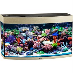 Купить Аквариум Biodesign Панорама 150, силикатное стекло Pilkington Optifloat™, 6-8 мм, 147 л, 91x41x54 см, шторка для автокормушки, беленый дуб