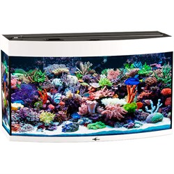 Купить Аквариум Biodesign Панорама 150, силикатное стекло Pilkington Optifloat™, 6-8 мм, 147 л, 91x41x54 см, шторка для автокормушки, белый