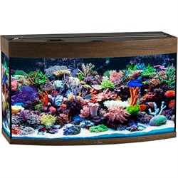 Купить Аквариум Biodesign Панорама 150, силикатное стекло Pilkington Optifloat™, 6-8 мм, 147 л, 91x41x54 см, шторка для автокормушки, золотой орех