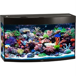 Купить Аквариум Biodesign Панорама 150, силикатное стекло Pilkington Optifloat™, 6-8 мм, 147 л, 91x41x54 см, шторка для автокормушки, черный