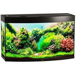 Купить Аквариум Biodesign Панорама 200, силикатное стекло Pilkington Optifloat™, 8 мм, 205 л, 101x46x60 см, шторка для автокормушки, черный