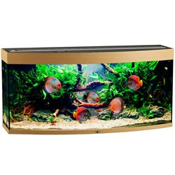 Купить Аквариум Biodesign Панорама 250, силикатное стекло Pilkington Optifloat™, 8 мм, 252 л, 126x46x60 см, шторка для автокормушки, бук