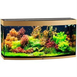 Купить Аквариум Biodesign Панорама 300, силикатное стекло Pilkington Optifloat™, 10 мм, 305 л, 126x51x65 см, шторка для автокормушки, бук