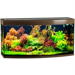 Купить Аквариум Biodesign Панорама 300, силикатное стекло Pilkington Optifloat™, 10 мм, 305 л, 126x51x65 см, шторка для автокормушки, золотой орех