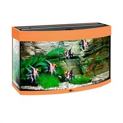 Купить Аквариум Biodesign Панорама 60, силикатное стекло Pilkington Optifloat™, 4-5 мм, 58 л, 56x32x44 см, шторка для автокормушки, бук
