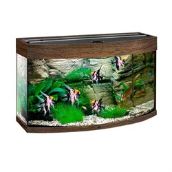 Купить Аквариум Biodesign Панорама 60, силикатное стекло Pilkington Optifloat™, 4-5 мм, 58 л, 56x32x44 см, шторка для автокормушки, венге