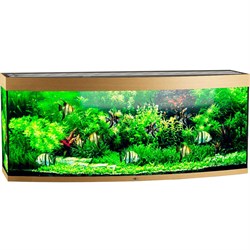 Купить Аквариум Biodesign Панорама 650, силикатное стекло Pilkington Optifloat™, 10 мм, 650 л, 181x66x75 см, шторка для автокормушки, бук