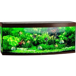 Купить Аквариум Biodesign Панорама 650, силикатное стекло Pilkington Optifloat™, 10 мм, 650 л, 181x66x75 см, шторка для автокормушки, венге
