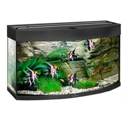 Купить Аквариум Biodesign Панорама 80, силикатное стекло Pilkington Optifloat™, 4-5 мм, 77 л, 71x33x46 см, шторка для автокормушки, черный