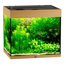 Купить Аквариум Biodesign Риф 100, силикатное стекло Pilkington Optifloat™, 5-6 мм, 100 л, 56x44x52 см, шторка для автокормушки, бук