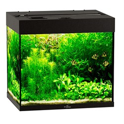 Купить Аквариум Biodesign Риф 100, силикатное стекло Pilkington Optifloat™, 5-6 мм, 100 л, 56x44x52 см, шторка для автокормушки, черный