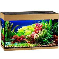 Купить Аквариум Biodesign Риф 125, силикатное стекло Pilkington Optifloat™, 5-6 мм, 125 л, 81x38x52 см, шторка для автокормушки, бук