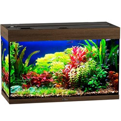Купить Аквариум Biodesign Риф 125, силикатное стекло Pilkington Optifloat™, 5-6 мм, 125 л, 81x38x52 см, шторка для автокормушки, золотой орех