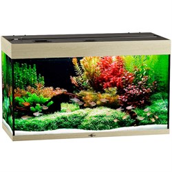 Купить Аквариум Биодизайн Риф 160, силикатное стекло Pilkington Optifloat™, 5-6 мм, 160 л, 91x41x54 см, шторка для автокормушки, беленый дуб