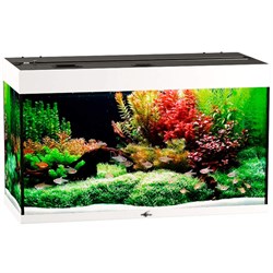 Купить Аквариум Биодизайн Риф 160, силикатное стекло Pilkington Optifloat™, 5-6 мм, 160 л, 91x41x54 см, шторка для автокормушки, белый