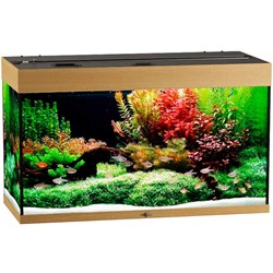 Купить Аквариум Биодизайн Риф 160, силикатное стекло Pilkington Optifloat™, 5-6 мм, 160 л, 91x41x54 см, шторка для автокормушки, бук