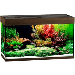 Купить Аквариум Биодизайн Риф 160, силикатное стекло Pilkington Optifloat™, 5-6 мм, 160 л, 91x41x54 см, шторка для автокормушки, золотой орех