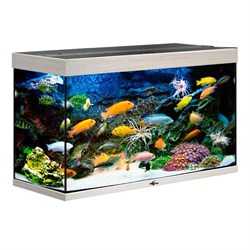 Купить Аквариум Biodesign Риф 200, силикатное стекло Pilkington Optifloat™, 6-8 мм, 185 л, 101x41x56 см, шторка для автокормушки, беленый дуб