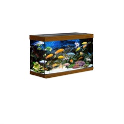 Купить Аквариум Biodesign Риф 200, силикатное стекло Pilkington Optifloat™, 6-8 мм, 185 л, 101x41x56 см, шторка для автокормушки, золотой дуб
