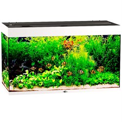 Купить Аквариум Biodesign Риф 240, силикатное стекло Pilkington Optifloat™, 6-8 мм, 225 л, 101x46x60 см, шторка для автокормушки, белый