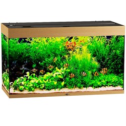 Купить Аквариум Biodesign Риф 240, силикатное стекло Pilkington Optifloat™, 6-8 мм, 225 л, 101x46x60 см, шторка для автокормушки, бук
