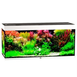 Купить Аквариум Biodesign Риф 280, силикатное стекло Pilkington Optifloat™, 6-8 мм, 280 л, 126x46x60 см, шторка для автокормушки, бук