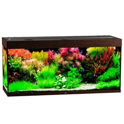 Купить Аквариум Biodesign Риф 280, силикатное стекло Pilkington Optifloat™, 6-8 мм, 280 л, 126x46x60 см, шторка для автокормушки, венге