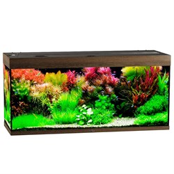 Купить Аквариум Biodesign Риф 280, силикатное стекло Pilkington Optifloat™, 6-8 мм, 280 л, 126x46x60 см, шторка для автокормушки, золотой орех