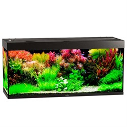 Купить Аквариум Biodesign Риф 280, силикатное стекло Pilkington Optifloat™, 6-8 мм, 280 л, 126x46x60 см, шторка для автокормушки, черный