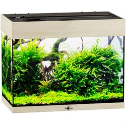 Купить Аквариум Biodesign Риф 60, силикатное стекло Pilkington Optifloat™, 4-5 мм, 60 л, 56x32x44 см, шторка для автокормушки, беленый дуб