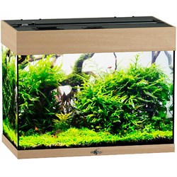 Купить Аквариум Biodesign Риф 60, силикатное стекло Pilkington Optifloat™, 4-5 мм, 60 л, 56x32x44 см, шторка для автокормушки, бук